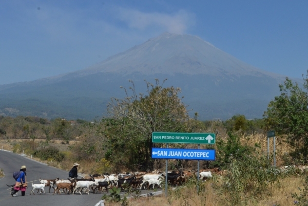 Alistan macrosimulacro en Puebla, Morelos y Tlaxcala por el Popocatépetl