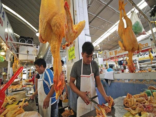 En Puebla, siete de cada 10 trabajadores se encuentran en la informalidad