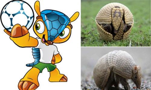 Fuleco, mascota del mundial, armadillo bolita en peligro de extinción