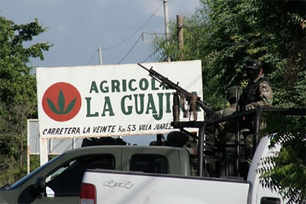 Desaparecen 11 jornaleros agrícolas en Sonora