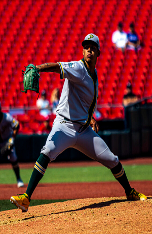 Pericos derrota 15-10 a Mariachis de Guadalajara y se lleva la serie