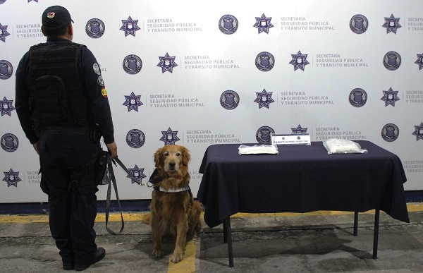 Grupo K9 detectó envoltorios de heroína en la CAPU
