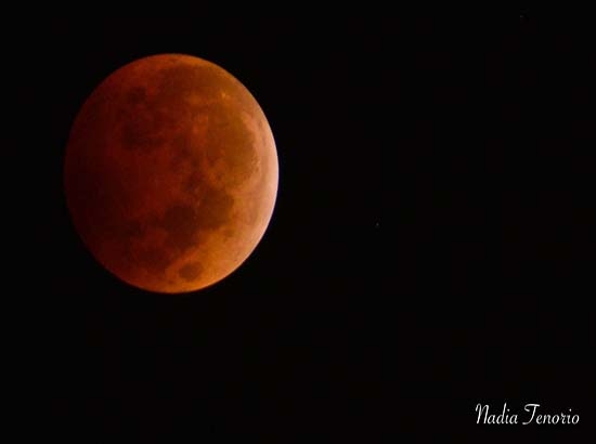 Eclipse parcial de Sol, este 23 de octubre; se apreciará desde Puebla