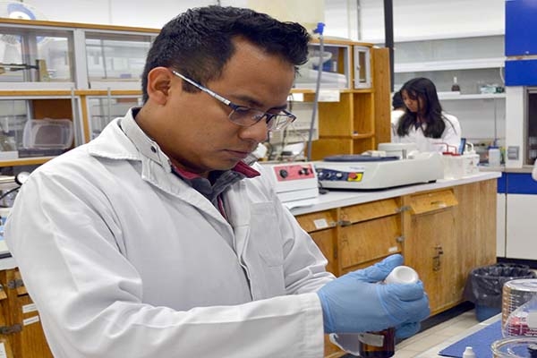 Perfeccionan en la BUAP tratamiento para eliminar azufre en diésel y gasolina