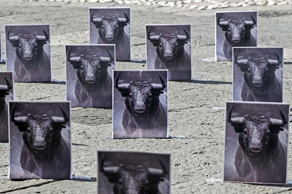 Capital poblana, a un paso de la eliminación de corridas de toros