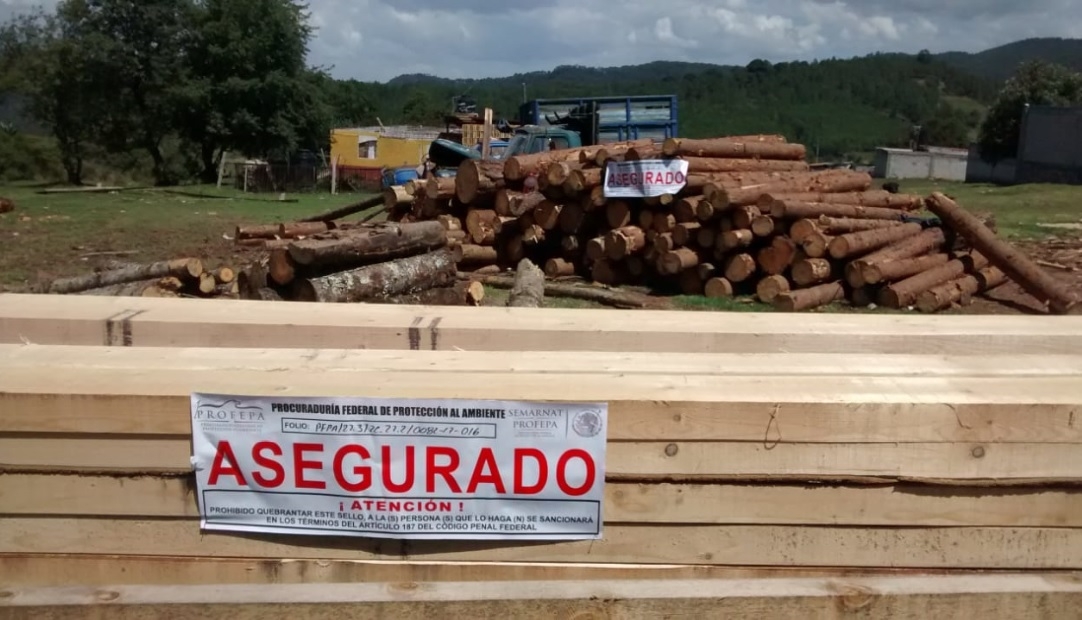 Profepa incauta madera ilegal en Aquixtla y Tetela de Ocampo