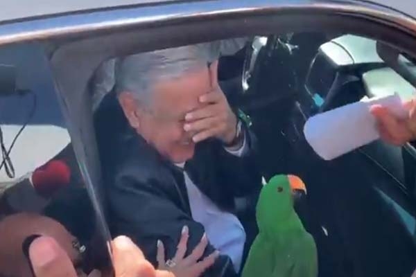 Mujer regala a AMLO… ¡un perico!