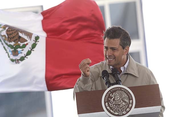 Gobierno silvestre