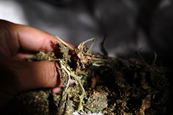 PGR captura a sujeto con 46 kilos de mariguana en Quecholac