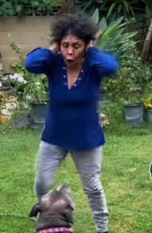 VIDEOS: Mujer enloquece al realizar reto de la papa picosa y…