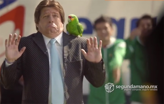 VIDEO: Comercial de “El Piojo” con un loro viola la ley: Profepa