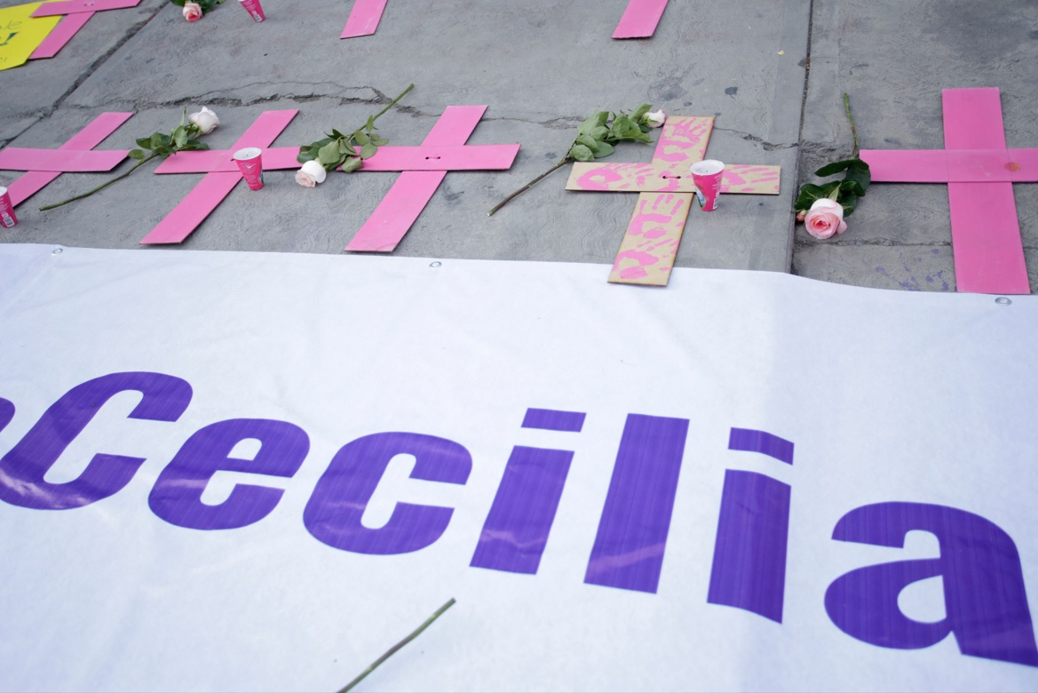 Dan tutela del hijo de Cecilia Monzón a la abuela