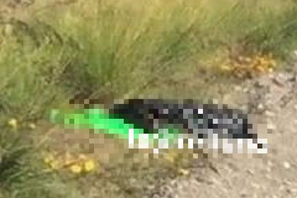 Identificaron a hombre descuartizado y embolsado en Aljojuca