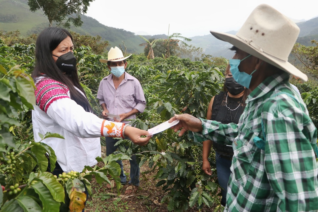 SDR entrega casi mil cheques a campesinos afectados por “Grace”