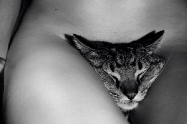Candice Swanepoel ya tiene gato famoso