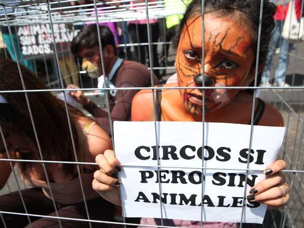 Prohíben uso de animales en circos, sorteos y fotografías en el DF