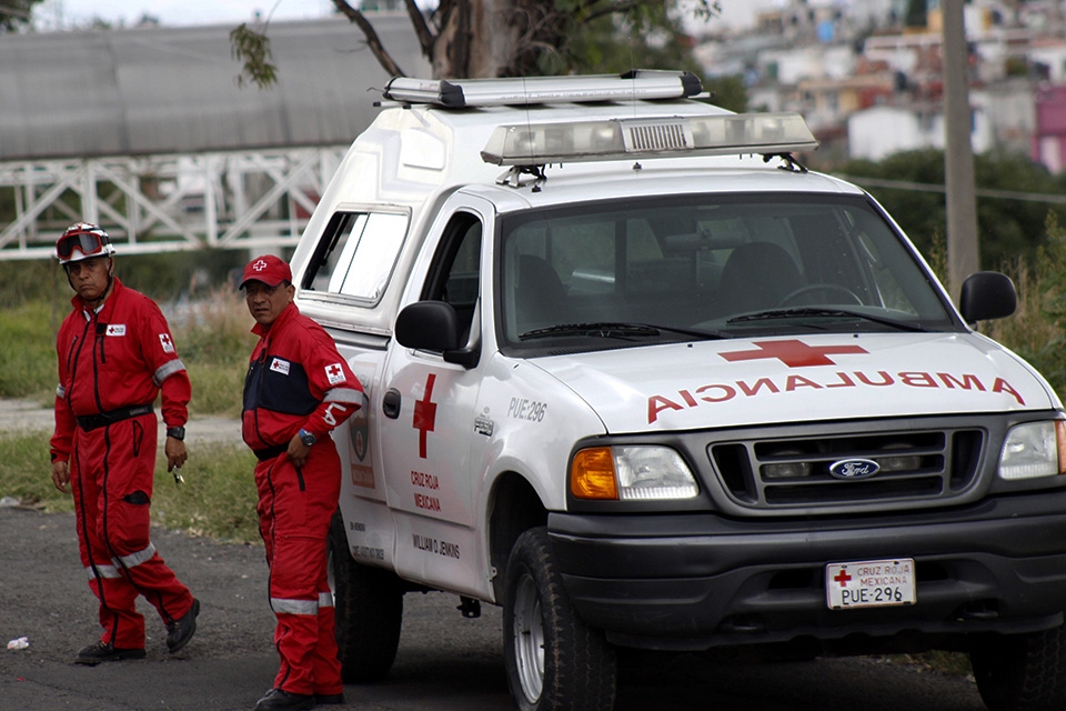 Abandonan a recién nacida en jardinera de La Margarita