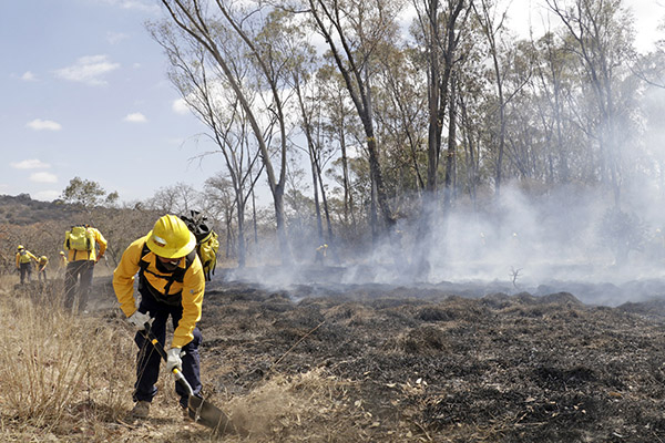 Aumentan incendios en pastizales en la ciudad de Puebla; la mayoría, por descuidos humanos