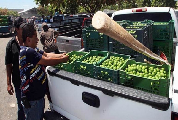 Cadena comercial, responsable del alza en precio del limón: Profeco