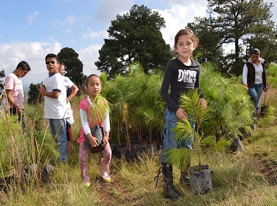 San Pedro Cholula reforesta parte del cerro Zapotecas