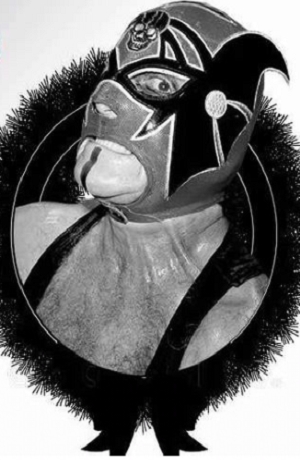 Murió Arkángel, luchador del CMLL
