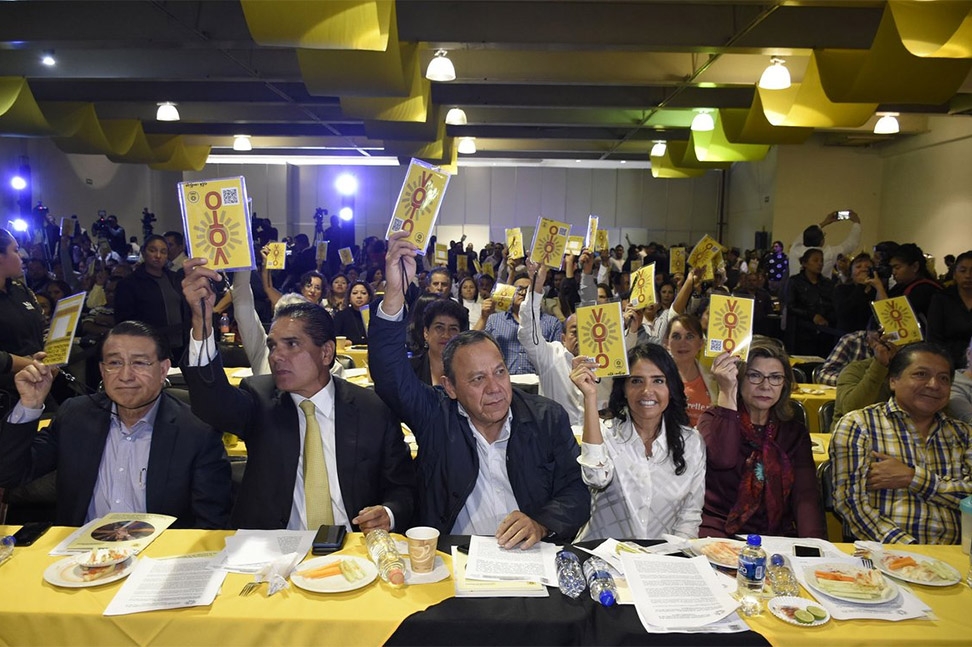 PRD elegirá a todos sus candidatos en el Consejo Nacional Electivo