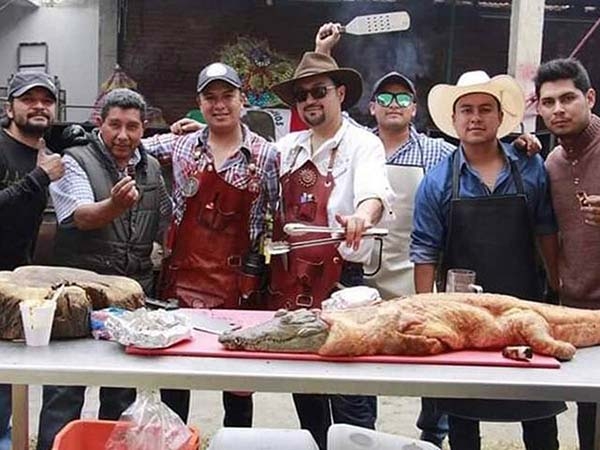 #LordCocodrilo asegura que la “parrillada” fue legal
