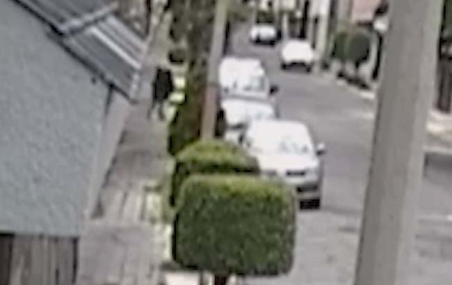 VIDEO: Roban casa en El Mirador, Puebla, en 12 minutos