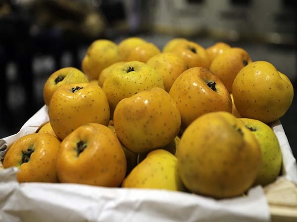 Se llevará a cabo la edición número 13 de la Feria del Tejocote en Calpan