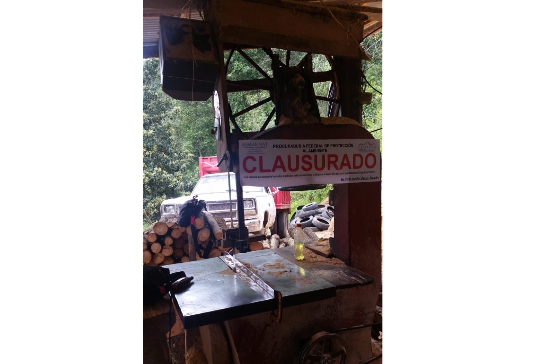 Profepa clausura 4 aserraderos en Zacapoaxtla
