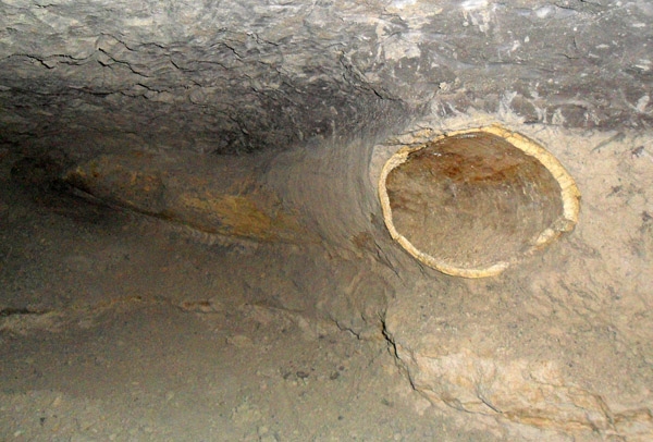 INAH rescata colmillo de mastodonte de 12 mil años en Acatzingo