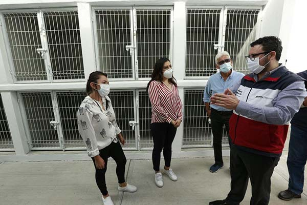 Gobierno de Claudia Rivera reconstruye centro de atención animal para pequeñas especies