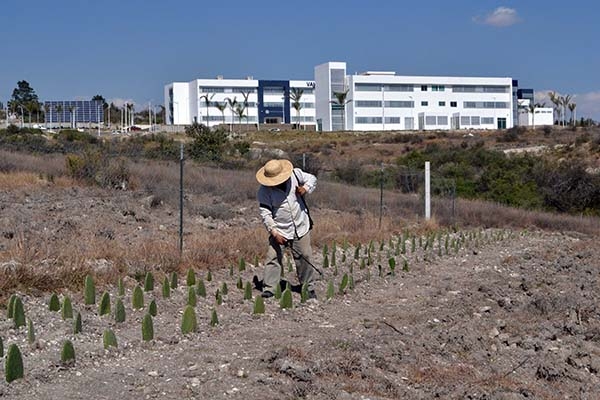 Con manejo agroecológico de plagas, la BUAP beneficia a productores poblanos