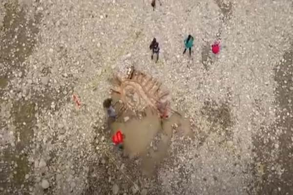 Venden piedras “benditas” de imagen de Virgen de Guadalupe en Monterrey