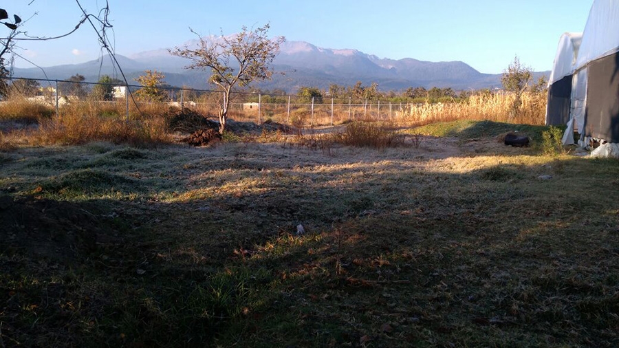 FOTOS: Heladas y temperaturas bajo cero deja frente frío 11 en Puebla