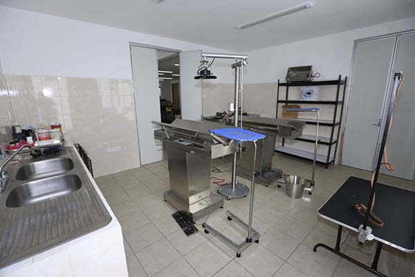 Ayuntamiento de Puebla equipa Centro de Protección Animal zona norte