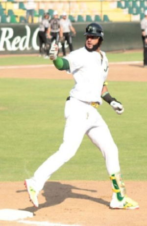 Pericos de Puebla se llevan la serie ante Saraperos de Saltillo