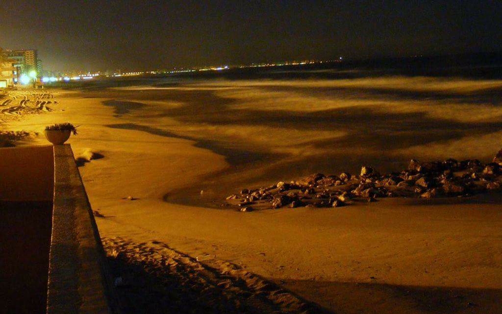Tsunami de tres metros ocurrió 15 minutos después del sismo: UNAM