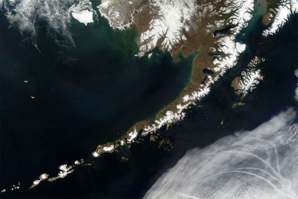 Alerta de tsunami tras terremoto de 8.0 grados en Alaska
