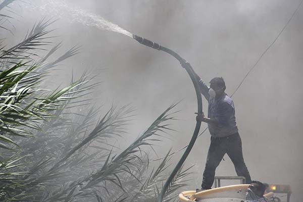 Ningún incendio forestal activo en Puebla: Protección Civil