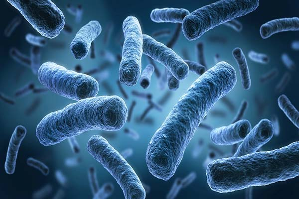 Crecen en Puebla casos de intoxicación alimentaria bacteriana