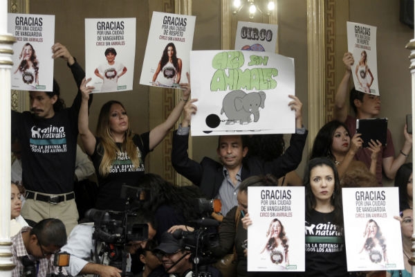 Puebla, noveno estado en prohibir animales en circos