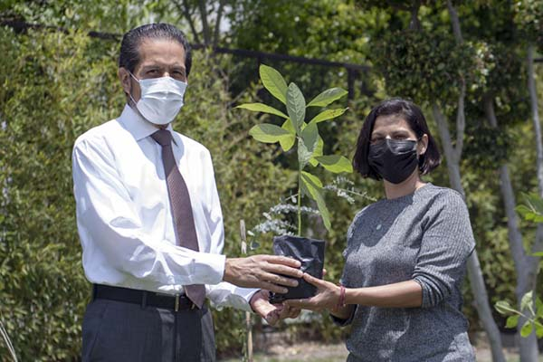 Rector de la BUAP entrega más de 800 especies con “Adopta un árbol”