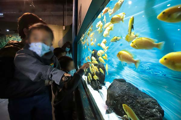 Niñas y niños a resguardo del SEDIF disfrutan del Acuario Michin