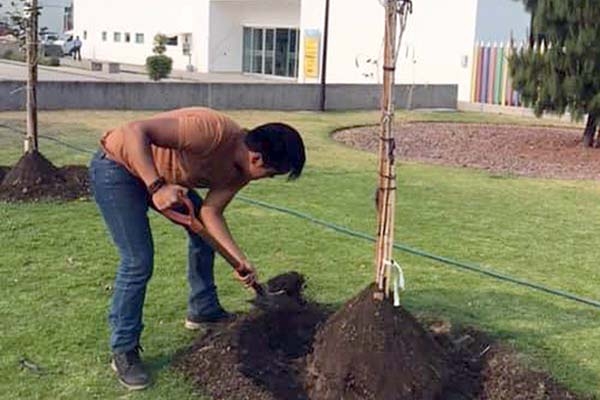 La BUAP, segundo lugar en sustentabilidad ambiental