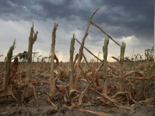 Extrema sequía podría presentarse en Yucatán