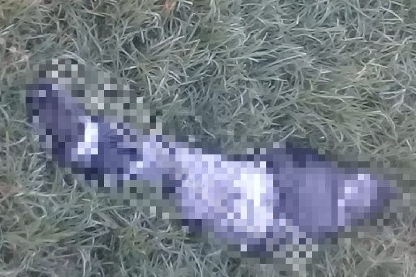Hallan cadáver embolsado en inmediaciones del río Atoyac