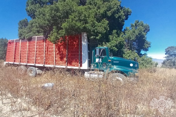 Roban tráiler cargado de pollos y es localizado en Tlatlauquitepec