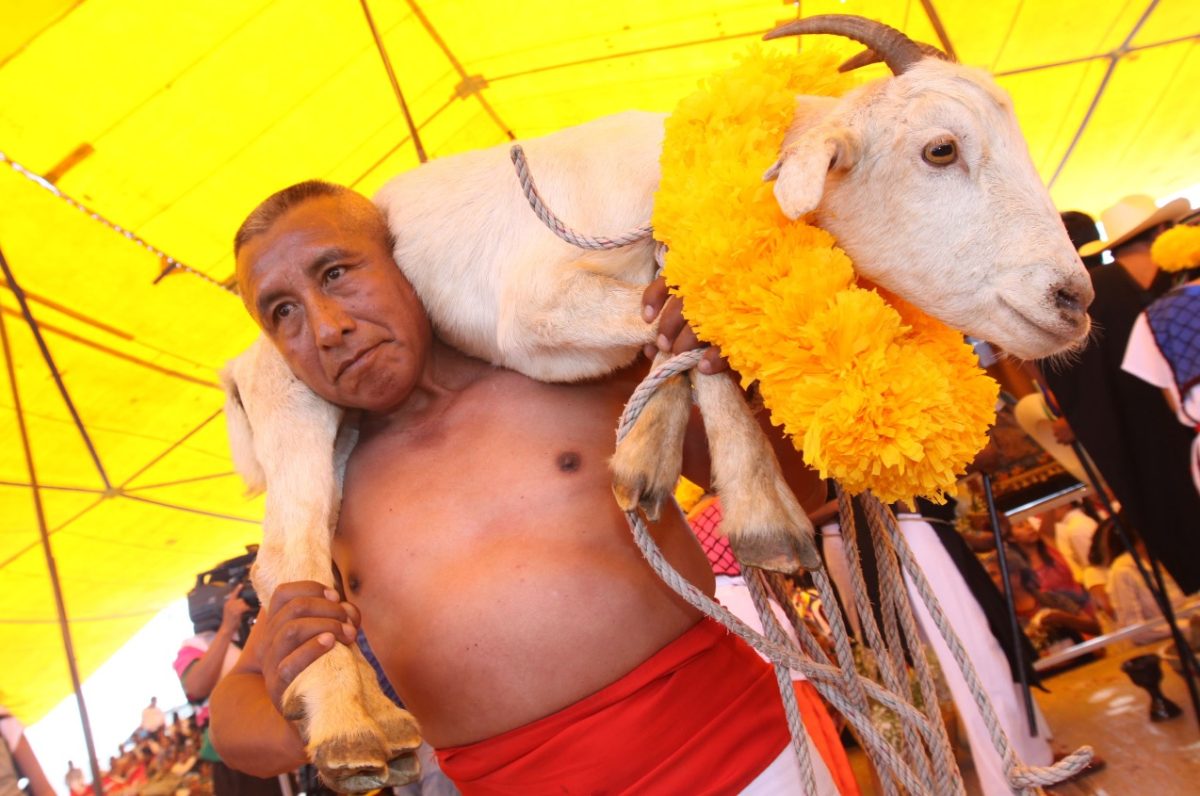 Festival de la Matanza en Tehuacán será virtual