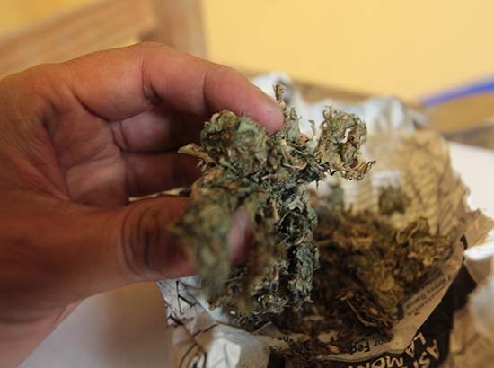Washington despenaliza la posesión y consumo de mariguana